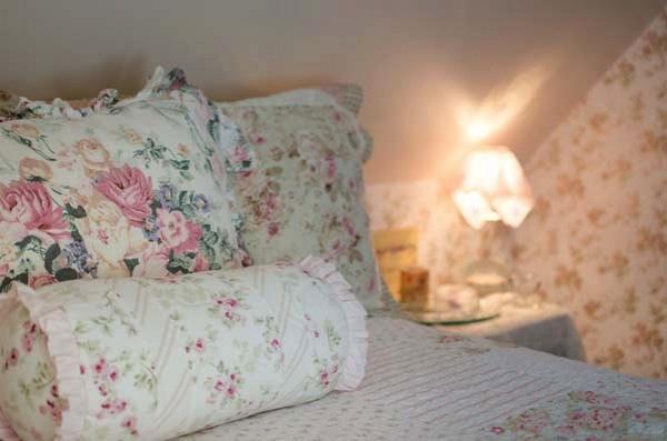 Tea Rose Inn At Plymouth, Nh Buitenkant foto